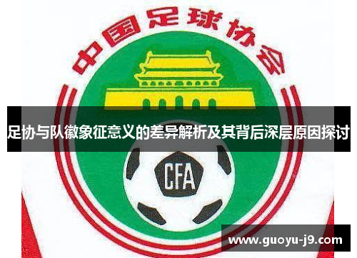 足协与队徽象征意义的差异解析及其背后深层原因探讨