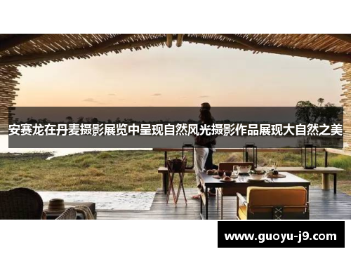 安赛龙在丹麦摄影展览中呈现自然风光摄影作品展现大自然之美