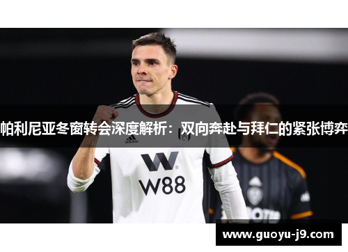 帕利尼亚冬窗转会深度解析：双向奔赴与拜仁的紧张博弈