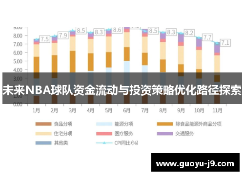 未来NBA球队资金流动与投资策略优化路径探索 未来NBA球队资金流动与投资策略优化路径探索