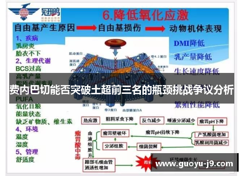 费内巴切能否突破土超前三名的瓶颈挑战争议分析 费内巴切能否突破土超前三名的瓶颈挑战争议分析