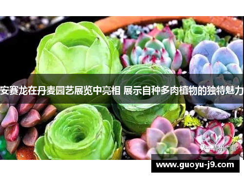 安赛龙在丹麦园艺展览中亮相 展示自种多肉植物的独特魅力