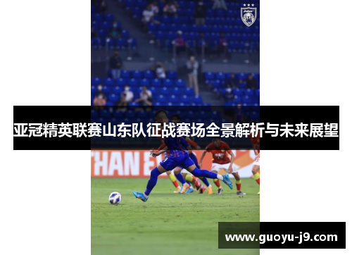 亚冠精英联赛山东队征战赛场全景解析与未来展望
