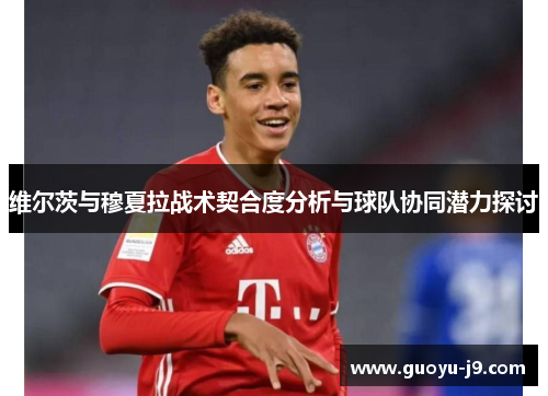 维尔茨与穆夏拉战术契合度分析与球队协同潜力探讨