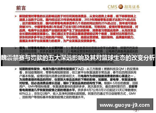 魏震禁赛与罚款的五大深远影响及其对篮球生态的改变分析